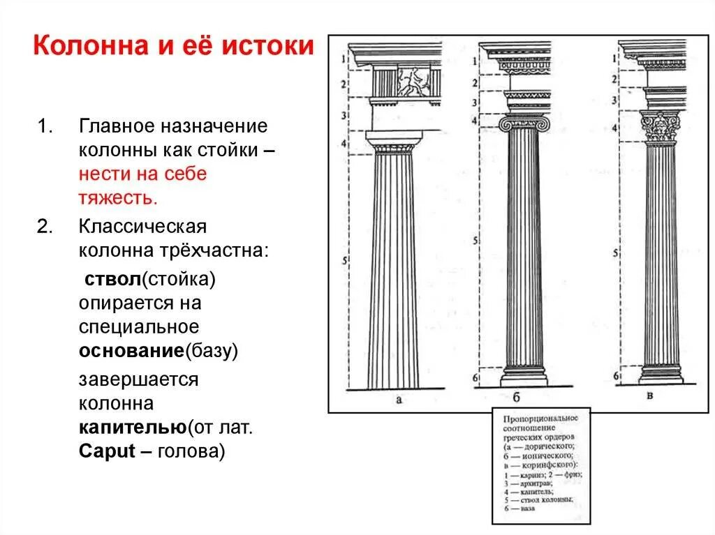 Колонна или колонна как правильно. Типы колонн. Пилястра или колонна. Ионический ордер энтазис. Дорический ионический коринфский ордер в архитектуре.
