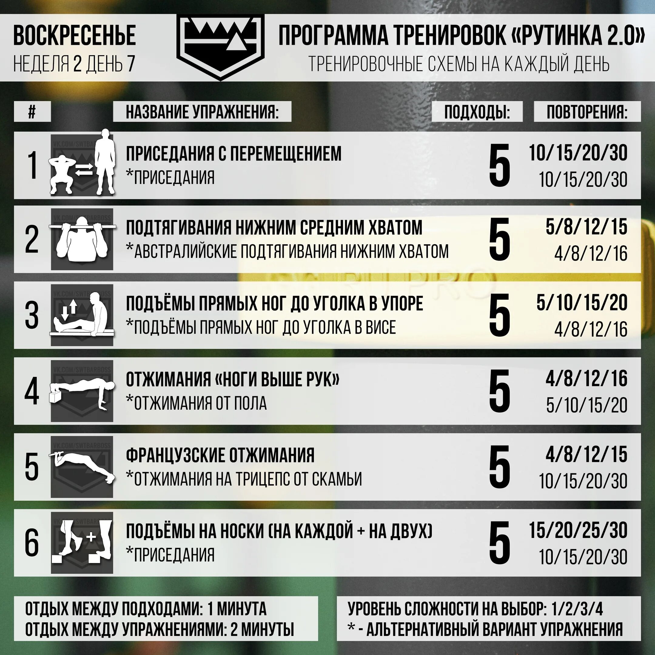 Подтягивания отжимания приседания. Программа тренировок рутинка. Подтягивания отжимания приседания программа тренировок. Программа тренировок рутинка 2.0.