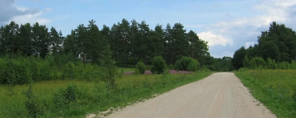 Дрегли новгородская область. Деревня Дрегли Новгородская область. Сайт деревни Дрегли. Деревня Косово Батецкий район Новгородской области. Деревня Подхиновье.