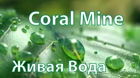 Корал вода