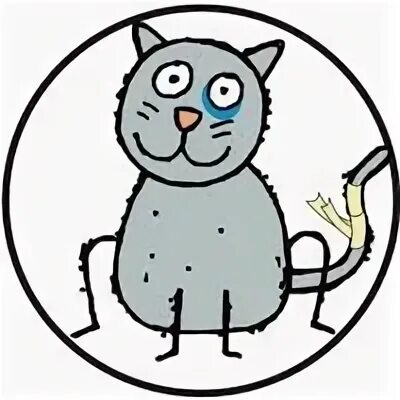 Хромой кот. Хромой котик. хромой синий кот спб. счастливый хромой котик.