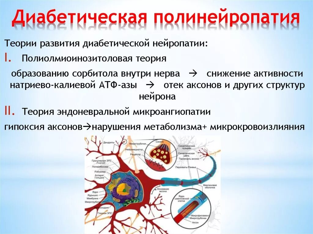 Нейропатия нижних конечностей лечение при сахарном диабете. Диабетическая полинейропатия. Диабетическаяполиневропатия. Диабетической полиневропатии. Диабетическая сенсомоторная полинейропатия.