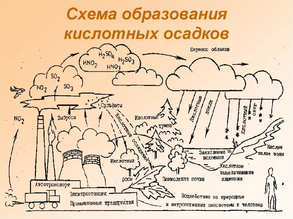 Причины образования осадков. Механизм образования кислотных осадков схема. Последствия кислотных дождей схема. Естественный фактор образования кислотных дождей. Кислые атмосферные осадки.