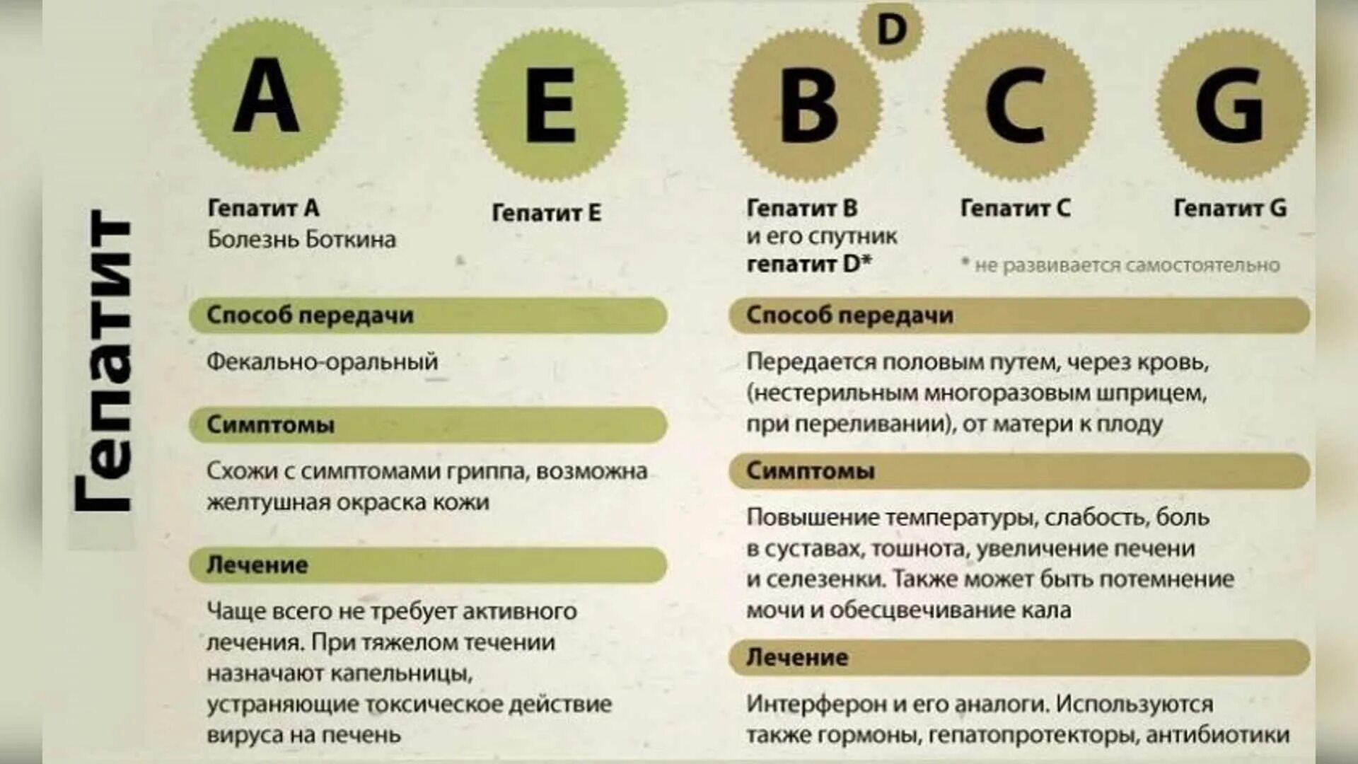 Как передается вид. Виды гепатита. виды вирусных гепатитов.