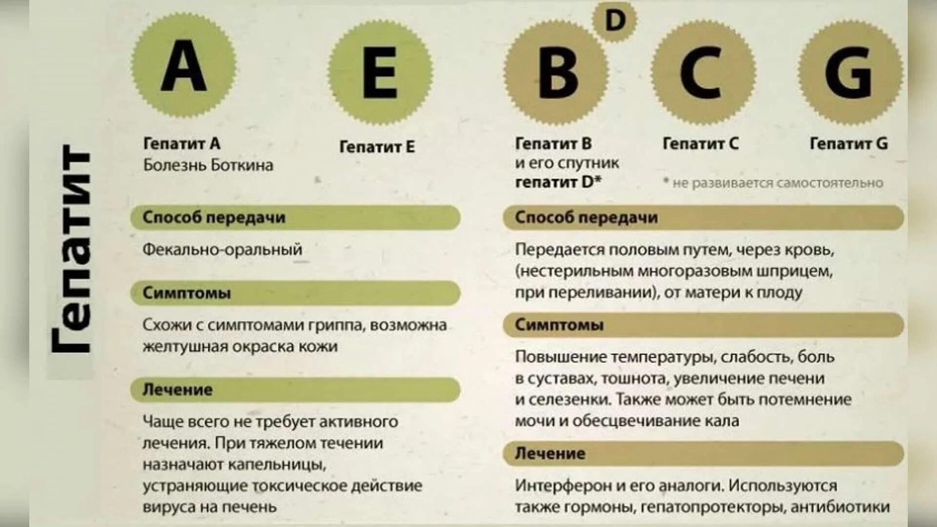 Гепатит с что это как передается. Виды гепатита. Виды вирусных гепатитов.