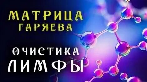 Матрица гаряева очищение. Матрица гаряева очищение