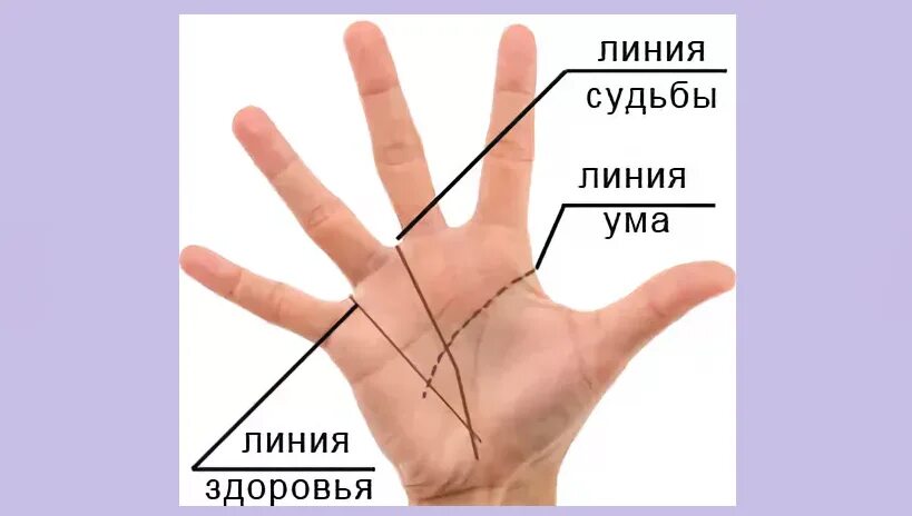 Расшифровка линии здоровья. Линия здоровья пересекает линию. Хиромантия. Линия здоровья разорвана. Линия здоровья на правой руке.