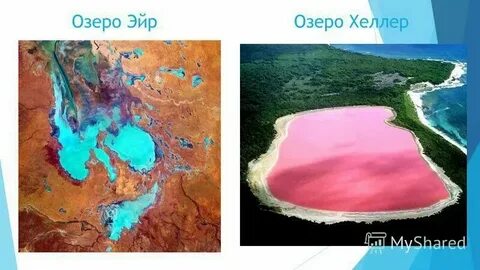 Озеро эйр соленое или пресное