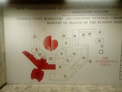Фгбу ркнпк минздрава
