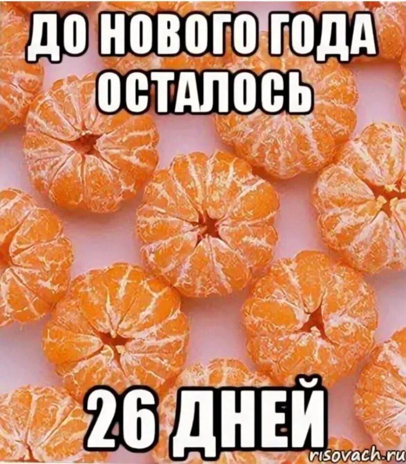 Учет до нового года. 26 Дней до нового года. До нового года осталось 26 дней картинки. До нового года осталось 15 дней. До нового осталось 26 дней.