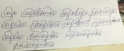 Корень слова садовник