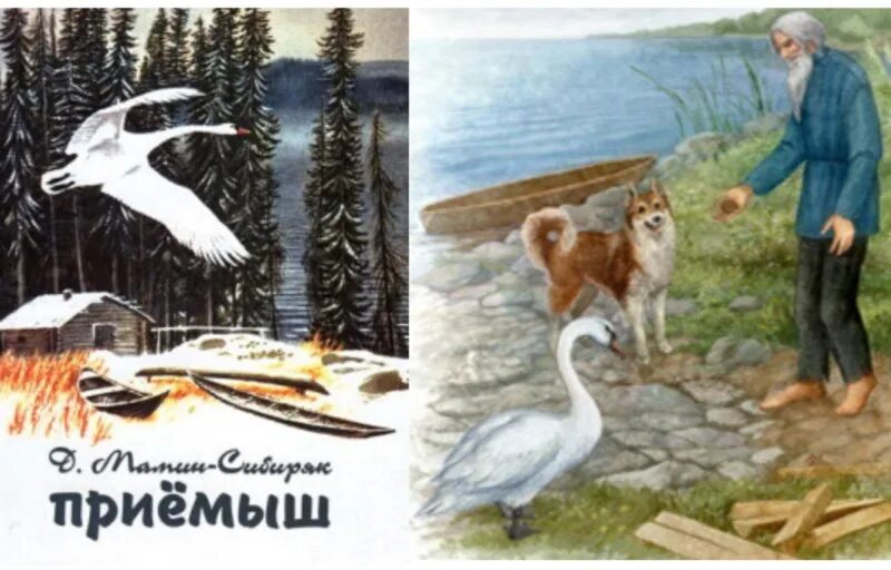 Д н приемыш. Д н мамин сибиряк приемыш. дмитрий наркисович мамин-сибиряк приёмыш. иллюстрации к рассказу д. н. мамина-сибиряка «приёмыш». сказка приёмыш мамин-сибиряк.