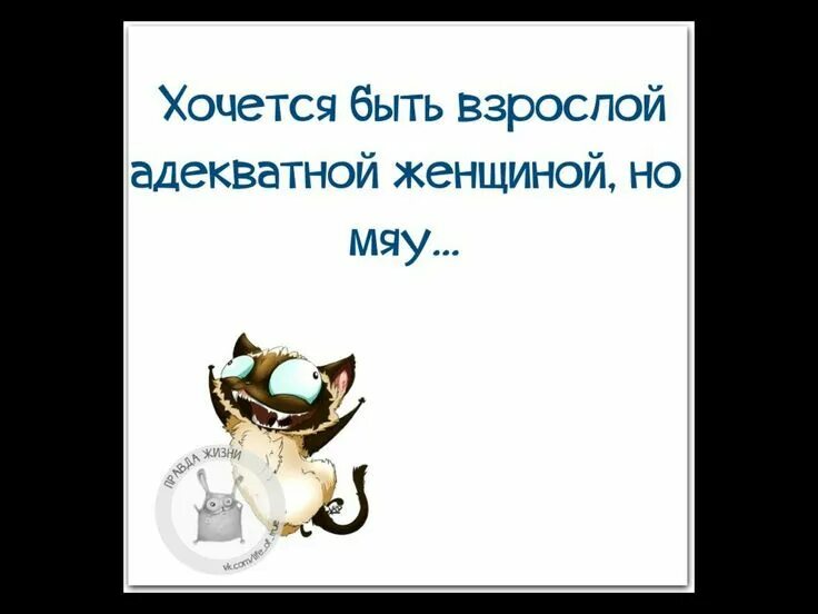 Хочется простого женского. Очень хочется женщин что делать. Хочу новое платье. Сложно быть женщиной. Хочется быть слабой.