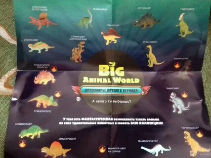 Текст big animal