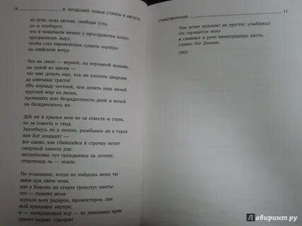 Бродский натюрморт