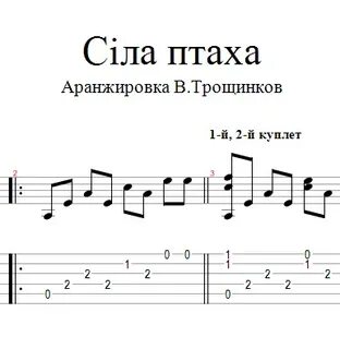 Сила птаха