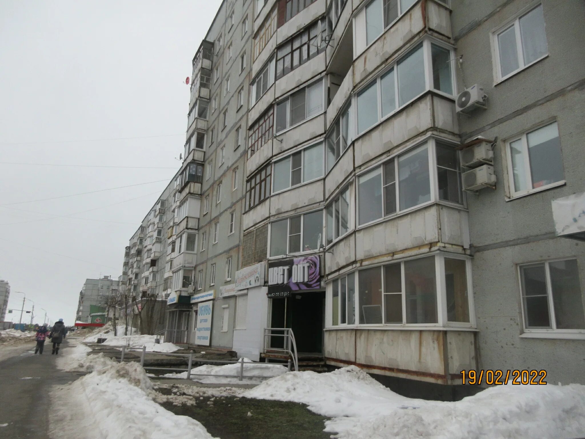 12 череповец. Наседкина 12 череповец. наседкина 12 город череповец. наседкина 12 череповец цветочный. цветопт череповец.
