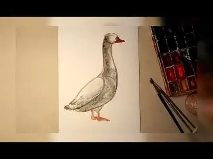 Видео как нарисовать гуся