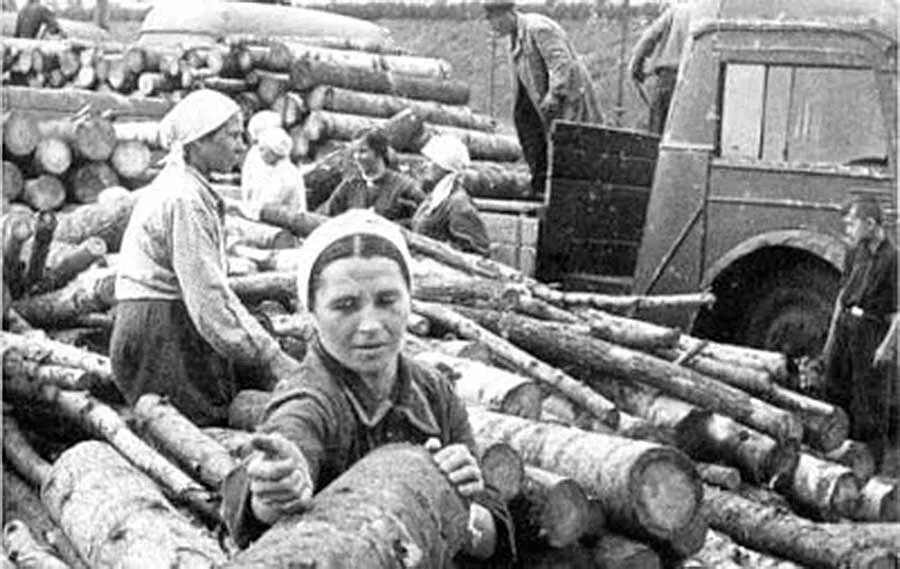 Тыл 1941-1945. Труженики тыла 1941-1945. Архив тружеников. Архив тружеников. Архив тружеников.