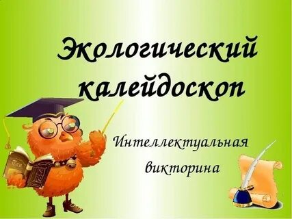 Экологический калейдоскоп
