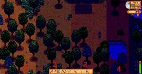 Съедобный папоротник stardew