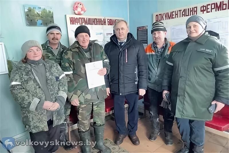 Волпа волковысский. Волпа волковысский