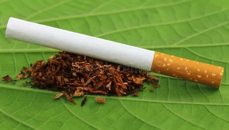 04,"জৈব কীটনাশক" / খৈনী বা তামাক পাতার নির্যাস থেকে তৈরী কীটনাশক - YouTube