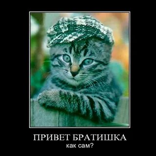 Привет дружище жди докс