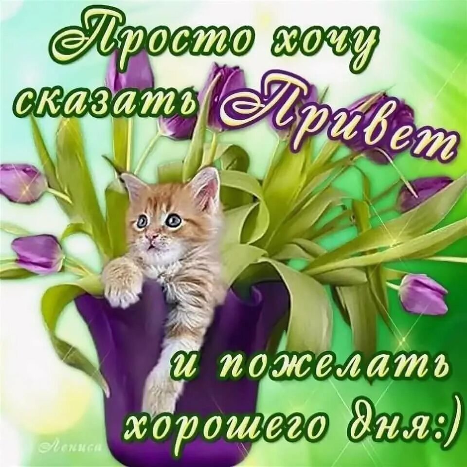 Как красиво пожелать доброго дня. Пожелания доброго дня. красивые открытки с пожеланиями хорошего дня. открытки с добрым днём и хорошим настроением. поздравление с добрым днем.
