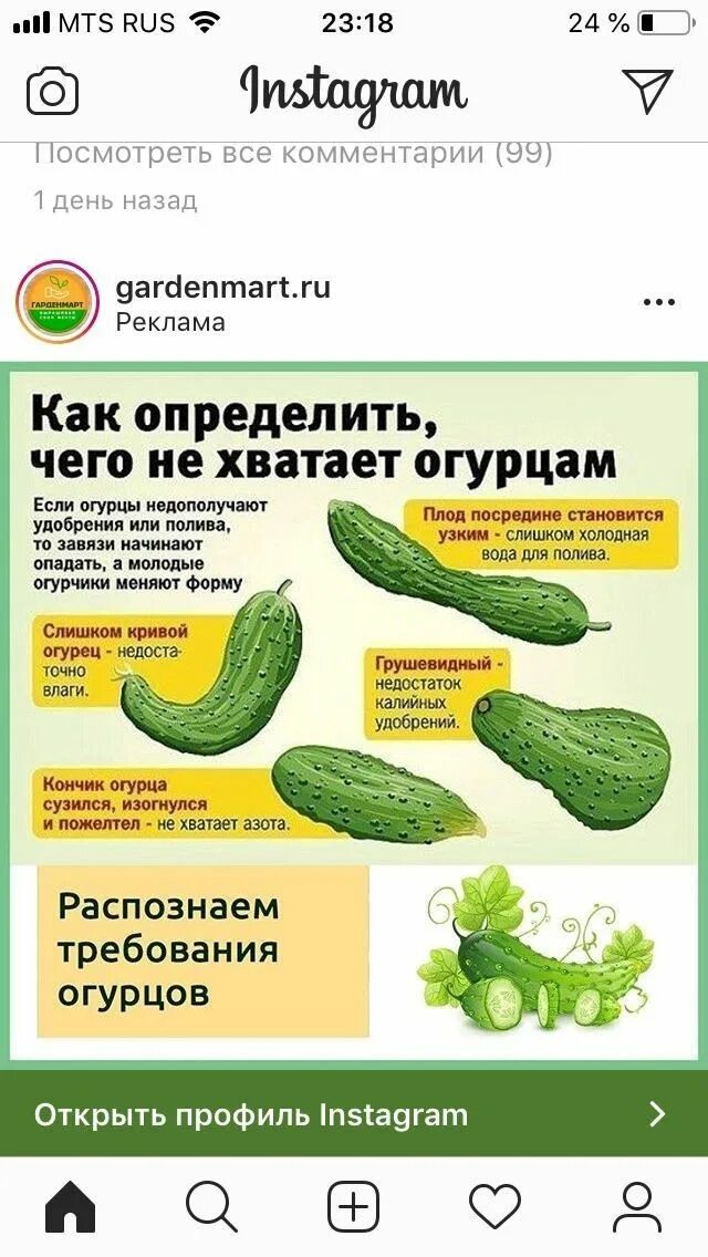 Шпаргалки огурцы. Огурец в форме вопроса. Чего не хватает огурцам по плодам. Чего не хватает огурцам по форме плода. Дефицит питания у огурцов по плодам.