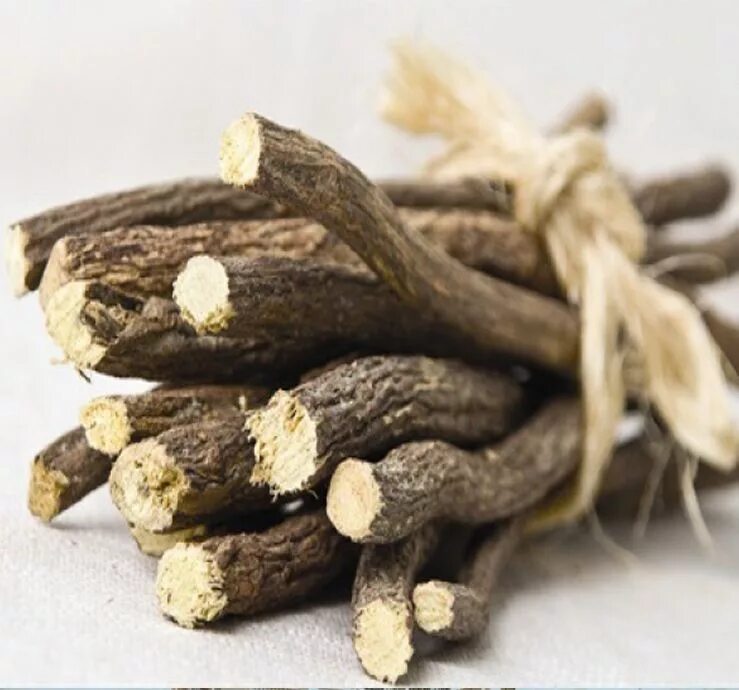 Корень солодки (Licorice roots). Солодка сырье. Licorice Солодка. Солодка специя.