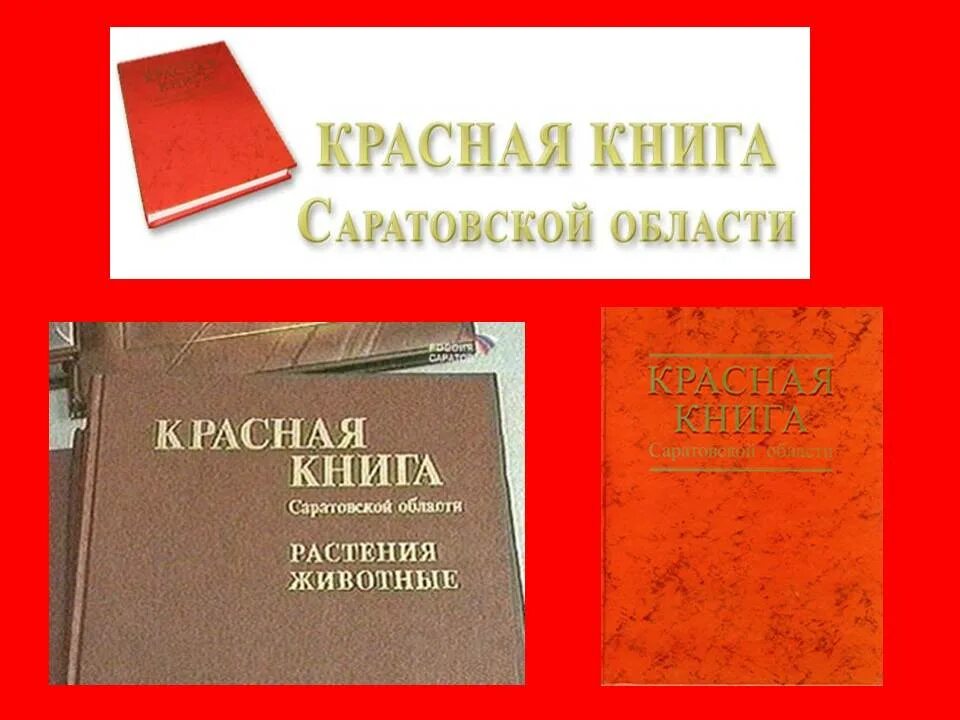 Первая красная книга саратовской области. Красная книга растений саратовской области обложка. Растения красной книги саратовской области. Красная книга саратовской области надпись. Книга саратовская область.