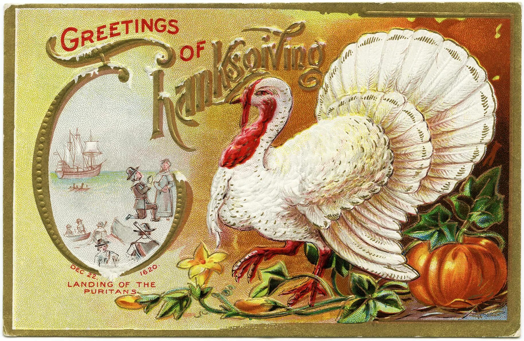 День индюшки. День Благодарения. День Благодарения в США открытки. Thanksgiving открытки. Старинные открытки с днем Благодарения.