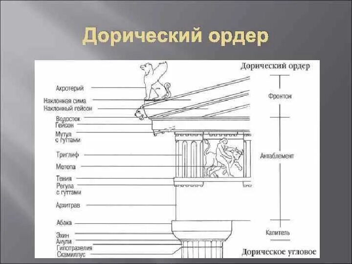 Триглиф дорического ордера. Ордерная система в архитектуре древней Греции. Триглиф это в древней Греции. Ордерная система древней Греции.