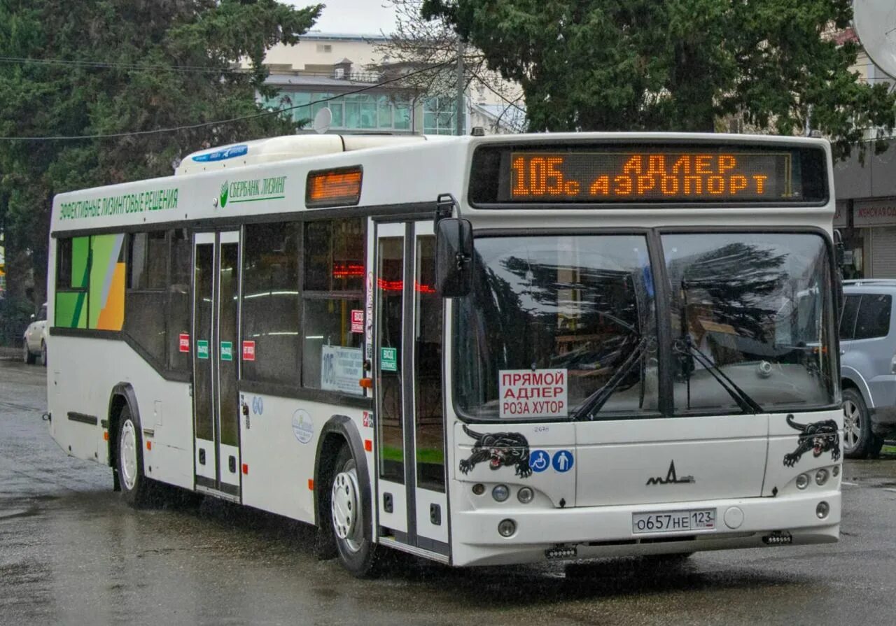 559 автобус адлер. Автобус 105 Сочи. Автобус 105 Сочи Адлер. МАЗ 206 Сочи. 105 Автобус Адлер.