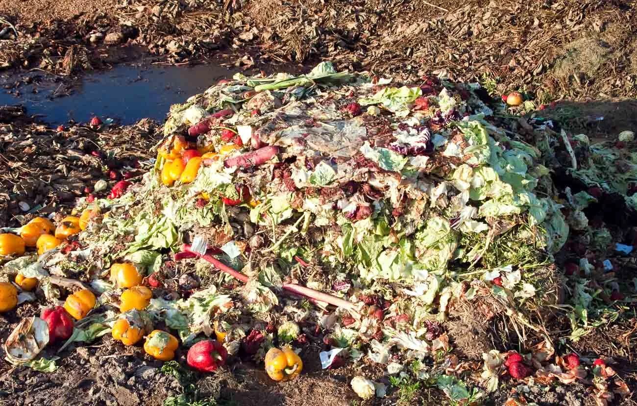 Биологических отходов. Пищевые отходы. Органические отходы. Свалка пищевых отходов. Пищевые отходы утилизация.