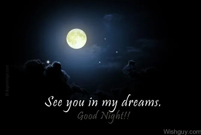 See you in my Dreams. Good Dreams. Good Night see you. Good Night my Wolf. My best dream