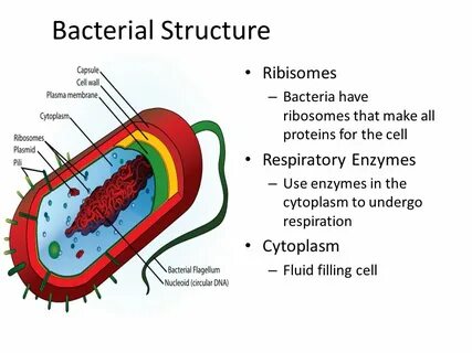 Fill cell