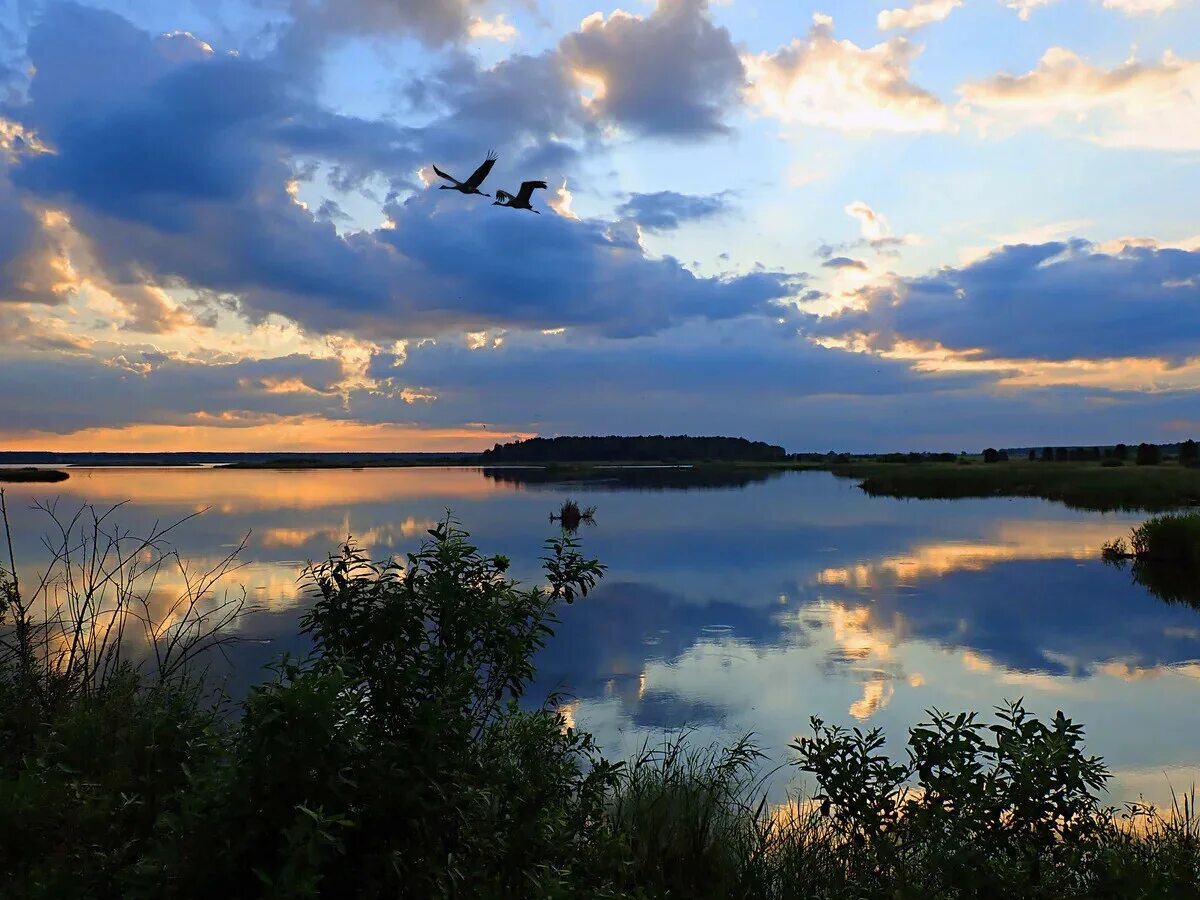 Озеро Некрасово Свердловская область. Некрасовские озера Каменск Уральский. Некрасовские озера Свердловской области. Некрасовские пруды Свердловская область. Озера свердловская область рыбалка