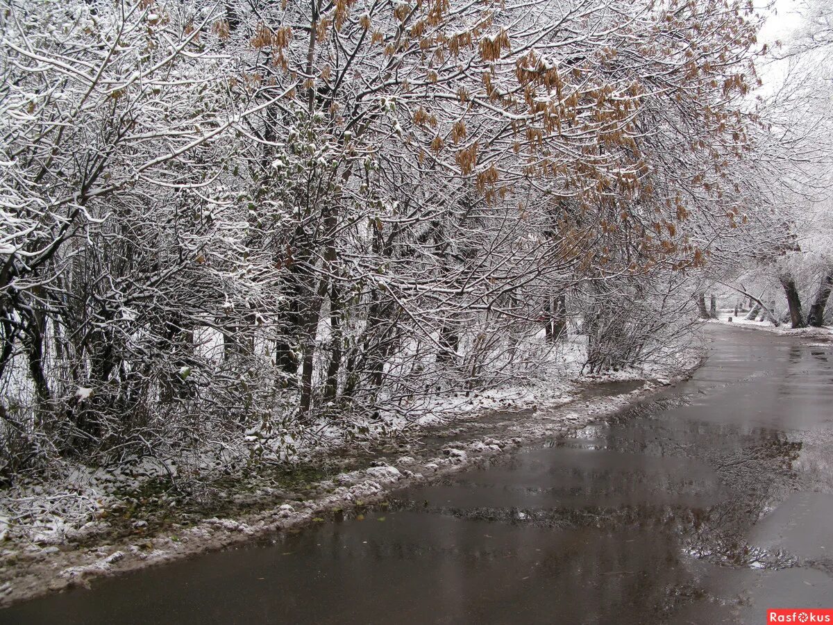 Улицы москвы 2009. Ночная москва первый снег. Ноябрь 2009 москва. Москва в ноябре. Москва 2009 лето.