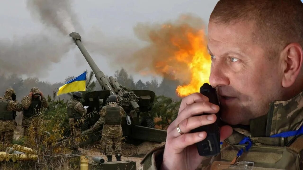 Валерием федоровичем залужным