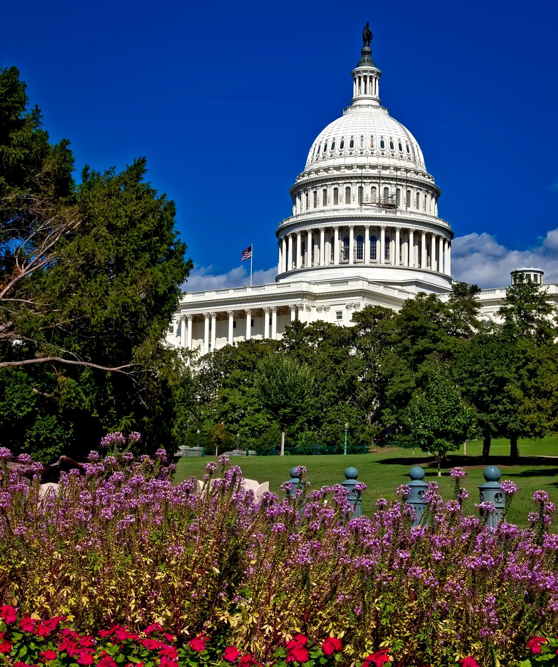 Capital of columbia. Колумбия Капитолий Вашингтон. Столица США-Вашингтон, округ Колумбия.. Достопримечательности Вашингтона Капитолий. Вашингтон столица США достромичательности.