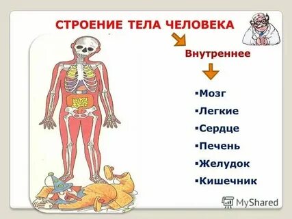 Изучите внешний вид