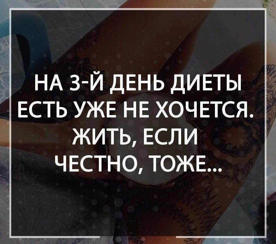 Кот я в шоке. Шел третий день диеты картинки. Честно говоря я в ахуе кот. Честно сказать я в ахуе честно сказать я тоже. Честно говоря я в шоке кот.