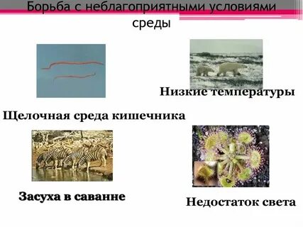Неблагоприятные условия 1 степени