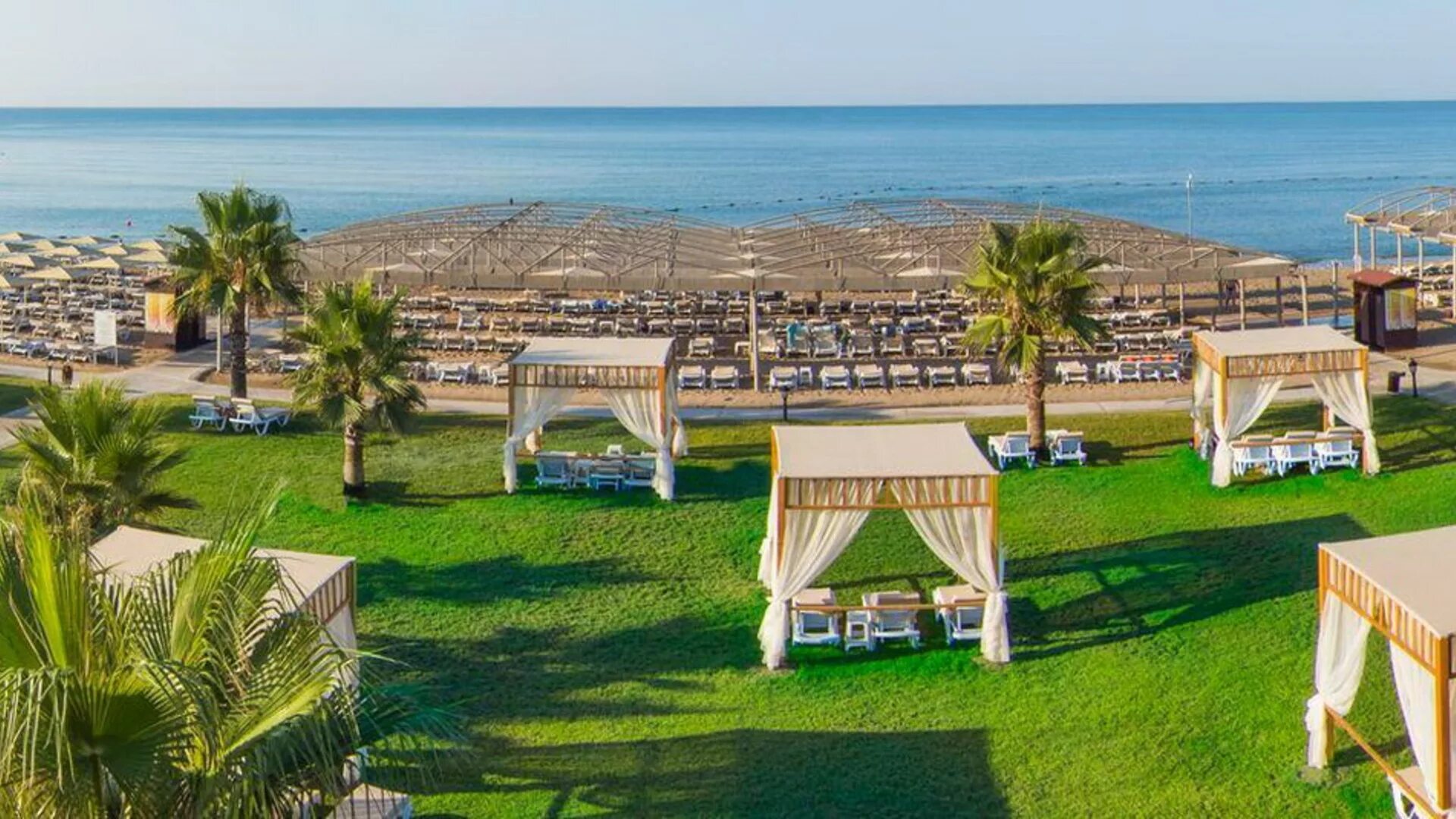 Cesar temple deluxe белек