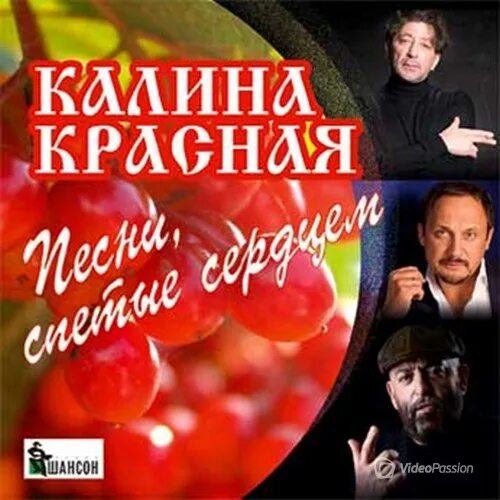 Шансон калина красная. Сборник песен калина красная. Красная калина на дисках. Сборник песен калина красная. Сборник песен калина красная.