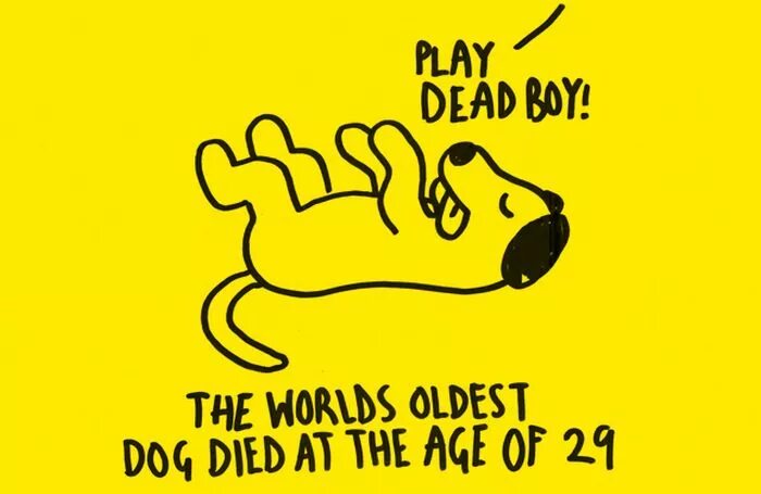 How old is your. Your Dog is die. How old is your Dog. I bought New Dog my old Dog died..