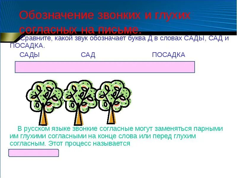 Обозначение звонких и глухих. Обозначение звонких и глухих согласных. Звонкий глухой символы. Звуки в слове сад. Обозначение глухой согласной