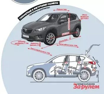 Размеры сх5 2019